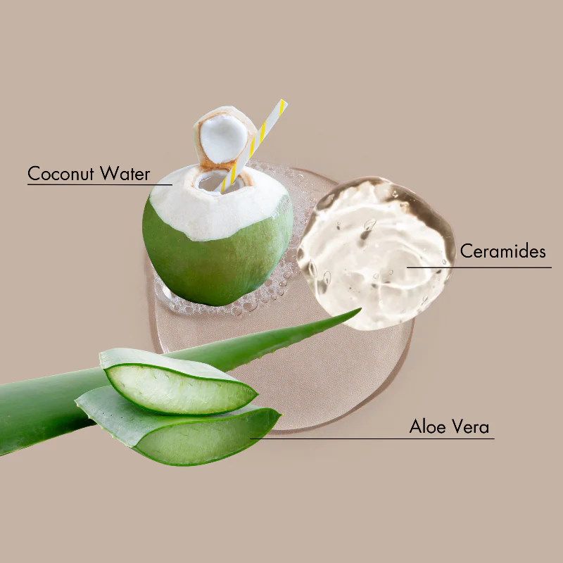 Eau de coco - Image 3