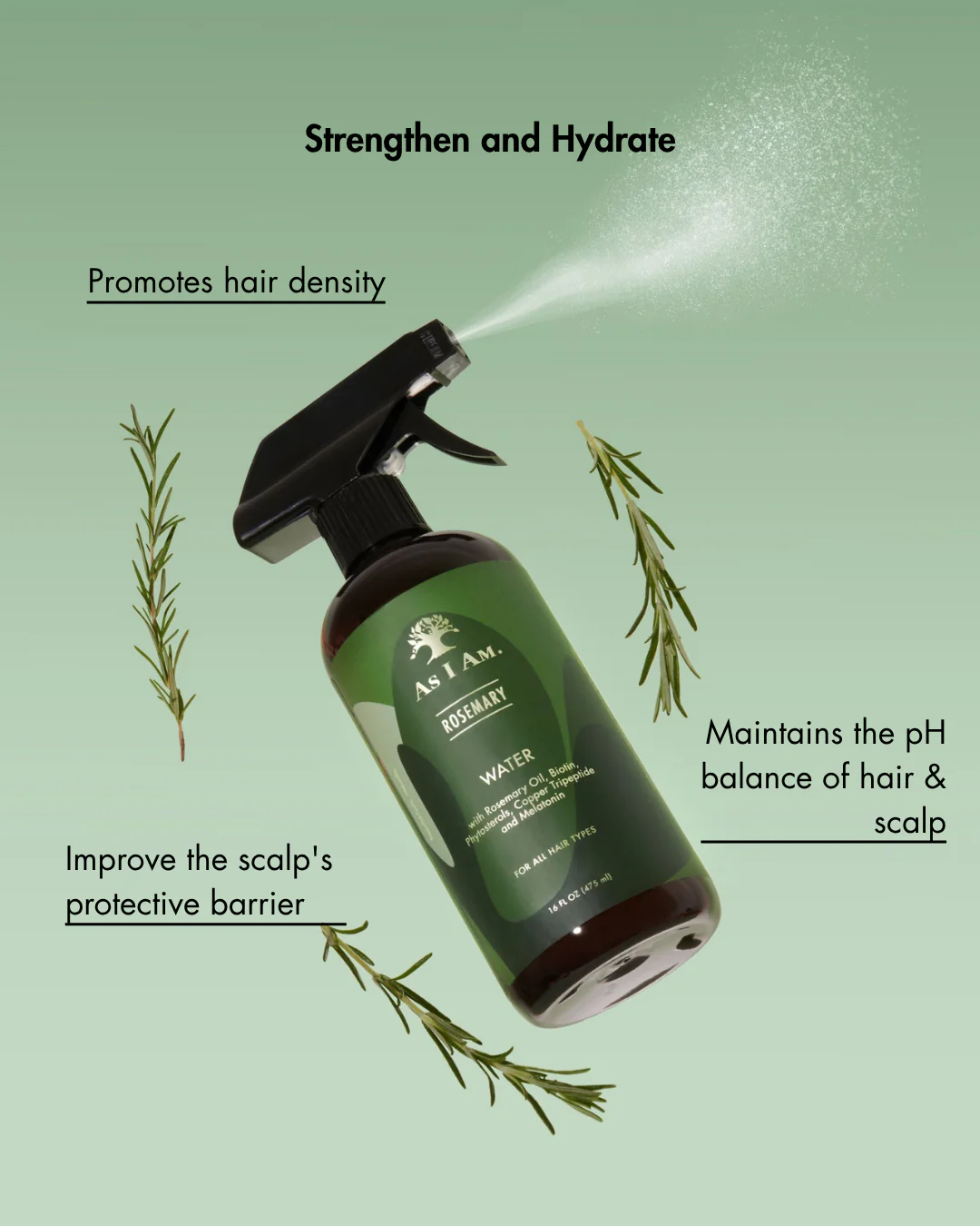 Eau de romarin - Image 4