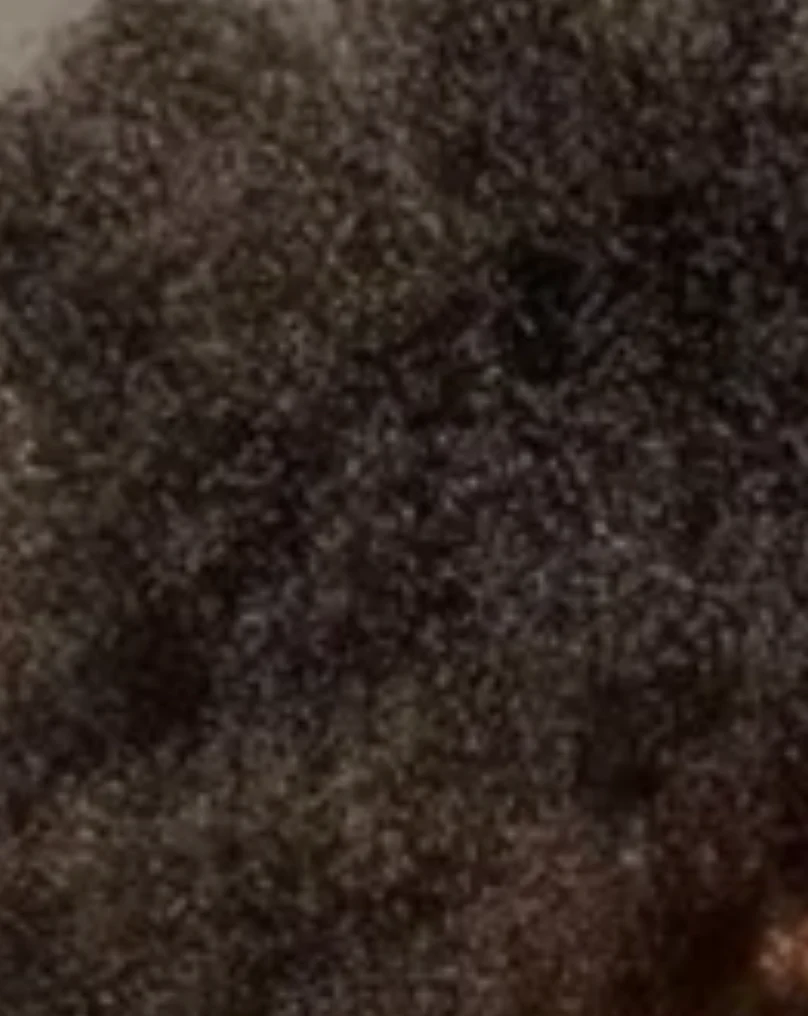Routine capillaire pour les cheveux de type 4C