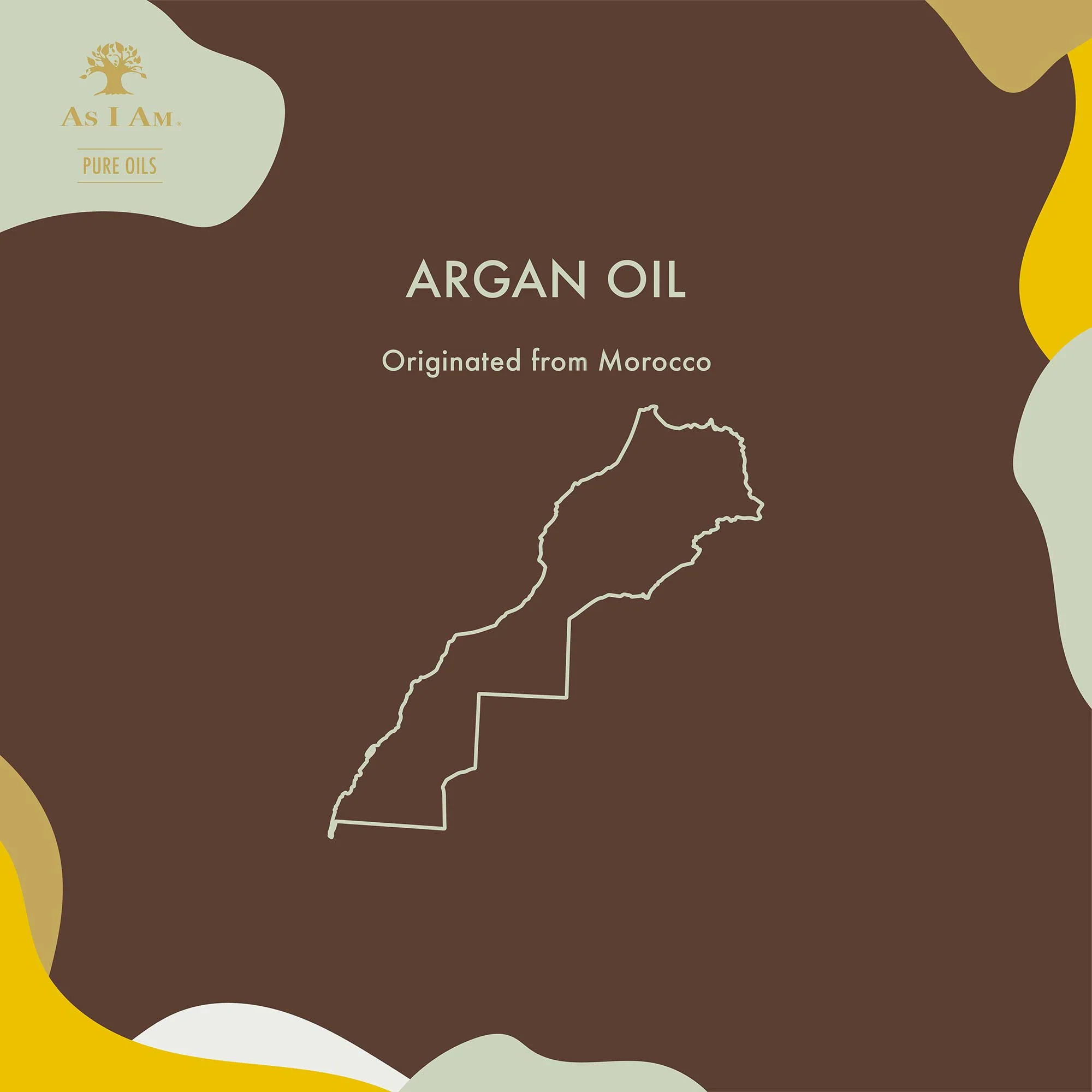 Huiles pures Huile d'argan vierge - Image 4